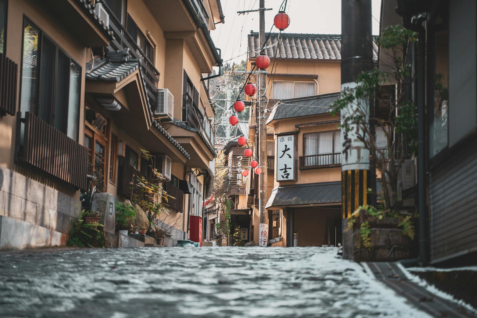 关西亲子美食跟团游