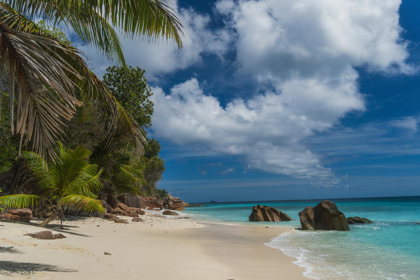 Seychelles Island Resort Small Group