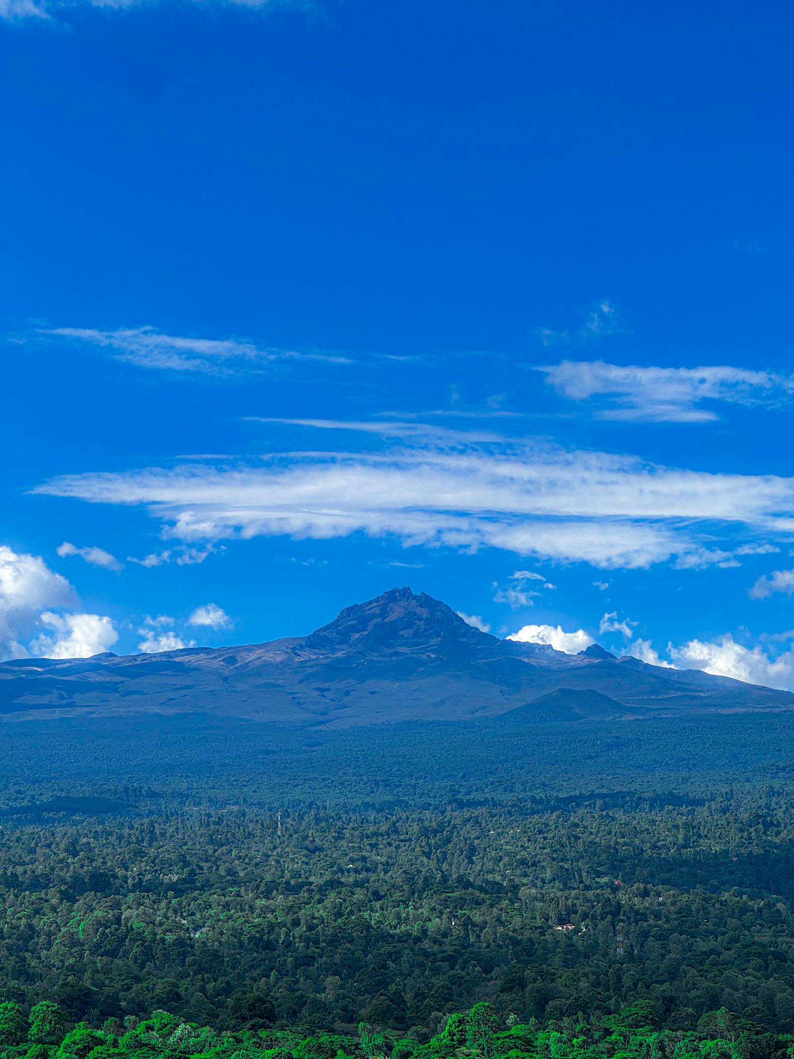 Tanzania Safari and Zanzibar Small Group